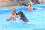 Honden zwemmen (26)